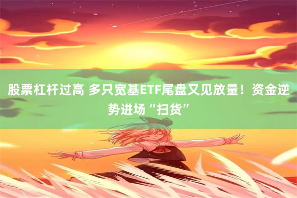 股票杠杆过高 多只宽基ETF尾盘又见放量！资金逆势进场“扫货”
