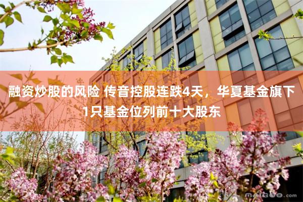 融资炒股的风险 传音控股连跌4天，华夏基金旗下1只基金位列前十大股东