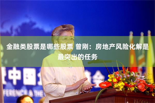 金融类股票是哪些股票 曾刚：房地产风险化解是最突出的任务