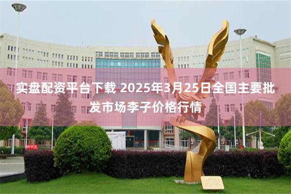 实盘配资平台下载 2025年3月25日全国主要批发市场李子价格行情