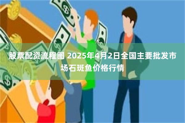 股票配资流程图 2025年4月2日全国主要批发市场石斑鱼价格行情