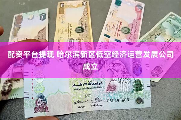 配资平台提现 哈尔滨新区低空经济运营发展公司成立