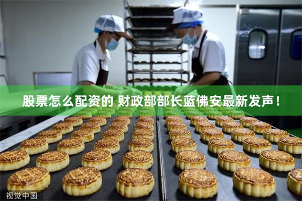 股票怎么配资的 财政部部长蓝佛安最新发声！