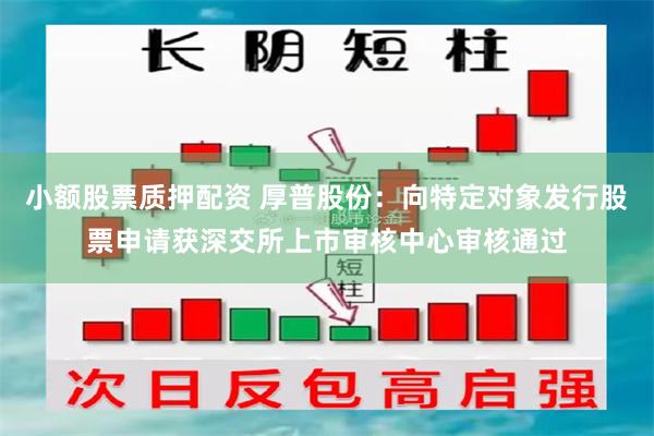 小额股票质押配资 厚普股份：向特定对象发行股票申请获深交所上市审核中心审核通过