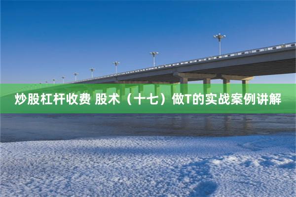炒股杠杆收费 股术(十七)做T的实战案例讲解