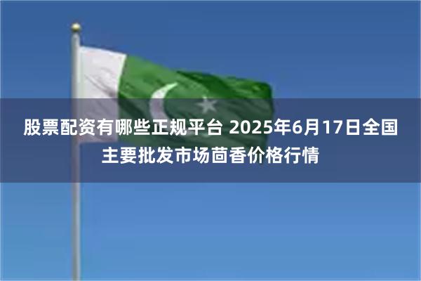 股票配资有哪些正规平台 2025年6月17日全国主要批发市场茴香价格行情