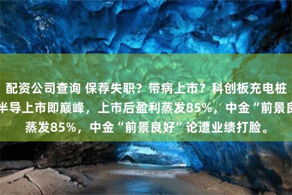 配资公司查询 保荐失职？带病上市？科创板充电桩芯片第一股---东微半导上市即巅峰，上市后盈利蒸发85%，中金“前景良好”论遭业绩打脸。