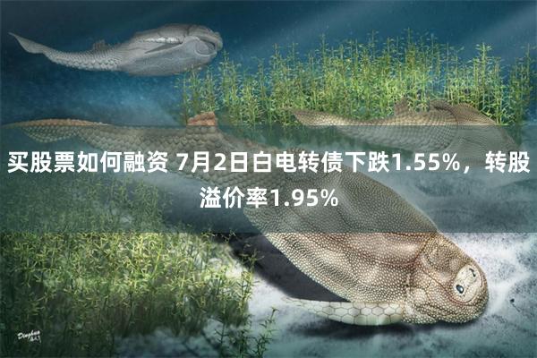买股票如何融资 7月2日白电转债下跌1.55%，转股溢价率1.95%